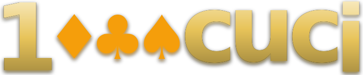 1000cuci logo